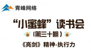 青峰创元集团“小蜜蜂”读书会第30期活动报道：《亮剑》精神 执行力 ----刘亚
